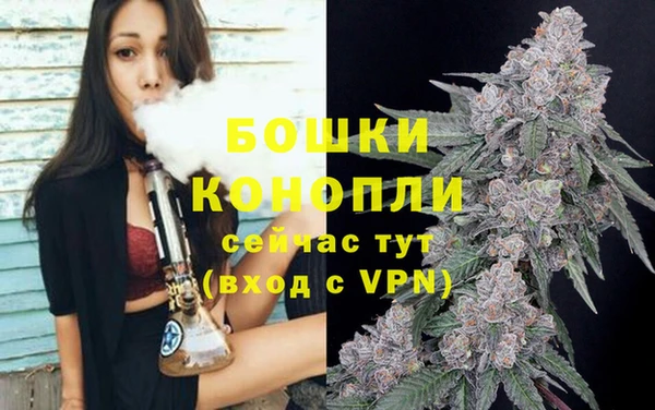 прущий лед Горняк
