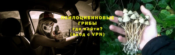 ешки Гусиноозёрск