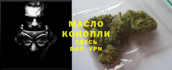 индика Саяногорск