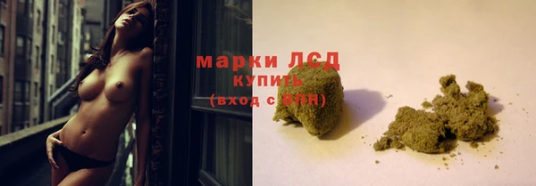 прущие грибы Дмитриев