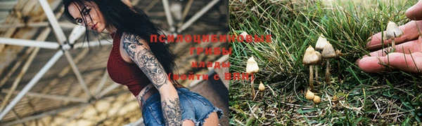 ешки Гусиноозёрск