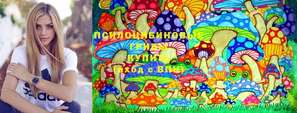 спиды Гусь-Хрустальный