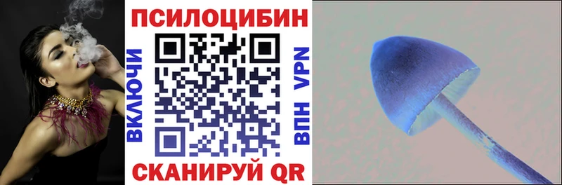 Псилоцибиновые грибы прущие грибы  Дно 