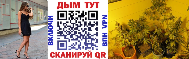 закладки  Дно  Бошки марихуана Bruce Banner 
